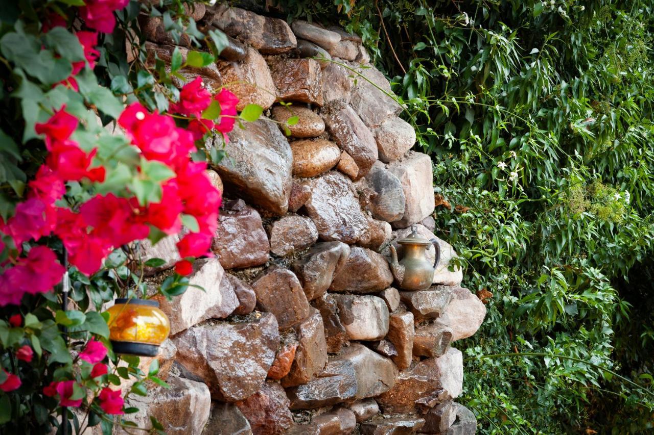 Posada De Rosas Мендоса Екстер'єр фото